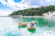 Sado Island Tour with Licensed Guide and Vehicle (Niigata Dep.)
