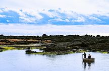 Sado Island Tour with Licensed Guide and Vehicle (Niigata Dep.)
