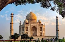 Golden Triangle with Wildlife and Royal Castle Stay