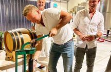 Authentic experience in organic winery