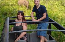 Minneriya luxury jeep safari