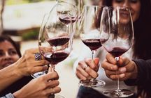 Zanzibar pizza making & wine tasting