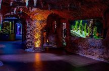 The National Aquarium Abu Dhabi Admission Tickets