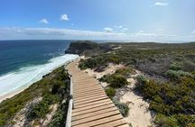 Full Day Private Tour to Cape of Good Hope & penguins Cape Point