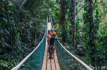 Thrilling Zipline Adventure at Bocawina Rainforest