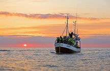 Whales and Puffins Tour from Husavik
