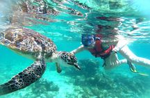 Tulum Ruins, Snorkeling with Turtles and Underground Caves 