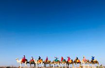 High Atlas Mountains and Three Valleys Day Trip from Marrakech