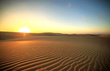 Sunrise Desert Safari in Qatar: An Unforgettable Adventure