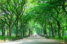 Private New York City Walking Tour: Central Park History and Hidden Secrets