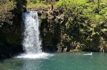 Rainforest Tour to Hana and Beyond