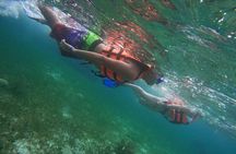 Snorkeling Adventure in Puerto Morelos Includes snack, Water and Round Trip.