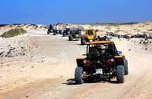 Agadir Desert Dunes Buggy Tour