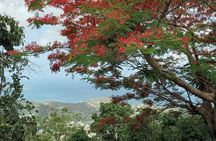 St.Martin - St. Maarten: Small Group, Coastal Hike & Swim Tour