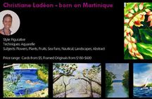 St.Martin - St.Maarten: Small Group, Visit Our Artists, Art Tour