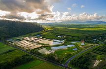 Hook-A-Barra Fishing and Farm Activity
