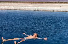 Laguna Cejar