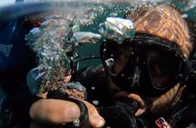 Discovery Scuba Diving in Dubai