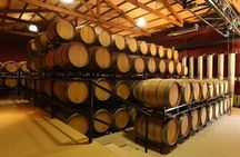 Small group tour in 2 wineries in Luján de Cuyo or Maipú