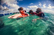 Tulum Ruins, Turtle Sighting and Underground Caves