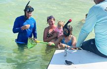 Private 3-Hour Eco Tour with Island Hopping in St. Petersburg, FL