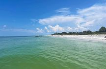 Private 3-Hour Eco Tour with Island Hopping in St. Petersburg, FL