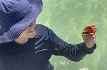 Private 3-Hour Eco Tour with Island Hopping in St. Petersburg, FL