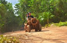 Awesome ATV experience in the jungle with cenote swim and ziplines included