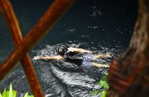 Atv Tour In Cancun (swim Cenote, Tarzan Jump And 5 Ziplines Included)