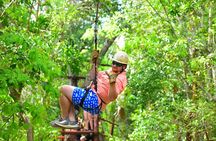Atv Tour In Cancun (swim Cenote, Tarzan Jump And 5 Ziplines Included)