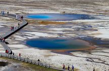 Family Friendly Private Tour at Yellowstone National Park w/Lunch