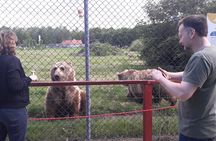 Visiting a Bear and Wolf Sanctuary