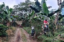 Coffee Axis: 3-Day Bike Tour of the Coffee Mountains
