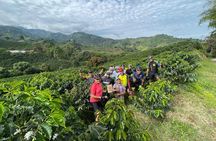 Coffee Axis: 3-Day Bike Tour of the Coffee Mountains