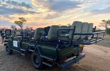 Sabie Game Reserve Sunset Safari Tour with Sundowners