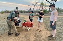 Sabie Game Reserve Sunset Safari Tour with Sundowners