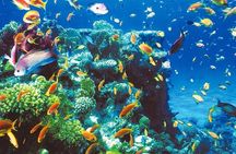 Ras Abu Galum & Blue Hole Snorkeling Tour from Taba