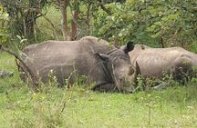 3-Day Private Safari of Murchison Falls National Park