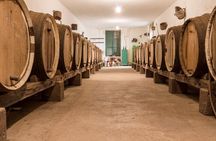 Winery Tour, Wine Museum, and Tasting in Gran Canaria