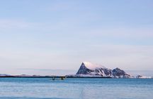 Discovery tour of the island of Senja and Kvaløya from Tromsø
