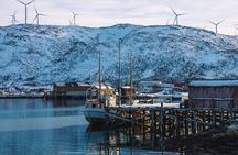 Discovery tour of the island of Senja and Kvaløya from Tromsø