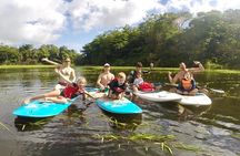Lake Arenal Private Paddle Board Experience