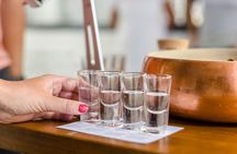 Gin Tour at Hensol Castle Distillery