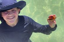 Private 4-Hour Beach Tour St. Petersburg, FL