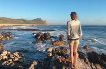 Cape Town Private Tour: Penguins, Cape Point & Chapman's Peak