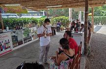 Guided Tour to the Museum of Ica, huacachina, buggy and sandboarding