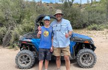 Sonoran Desert UTV Sand Buggy Off-Road Adventure, Scottsdale