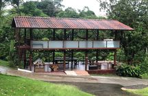 Private Yoga Class on Rainforest River Platform