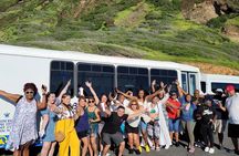 Oahu Guided Circle Island Tour, Swim w/ Turtles, Dole, Blowhole