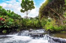 Pure Trek Canyoning, Volcano Hike and Hot Springs in La Fortuna